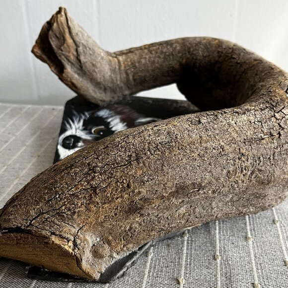 Rustic Hand Painted Raccoon Folk Art Wood Branch Frame Dimensional signed - Picture 12 of 13